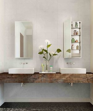 Simplicity Mirrored Cabinet by Electric Mirror