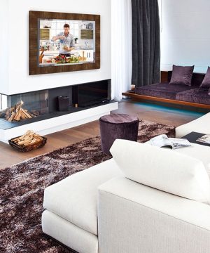 Stanford Entertainment Mirror TV on